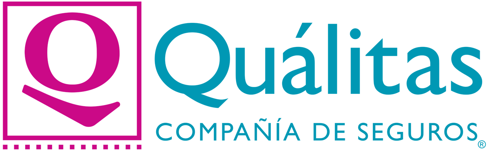 Q logo